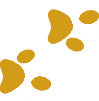 Imagen de una pisada derecha