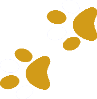 Imagen de una pisada izquierda